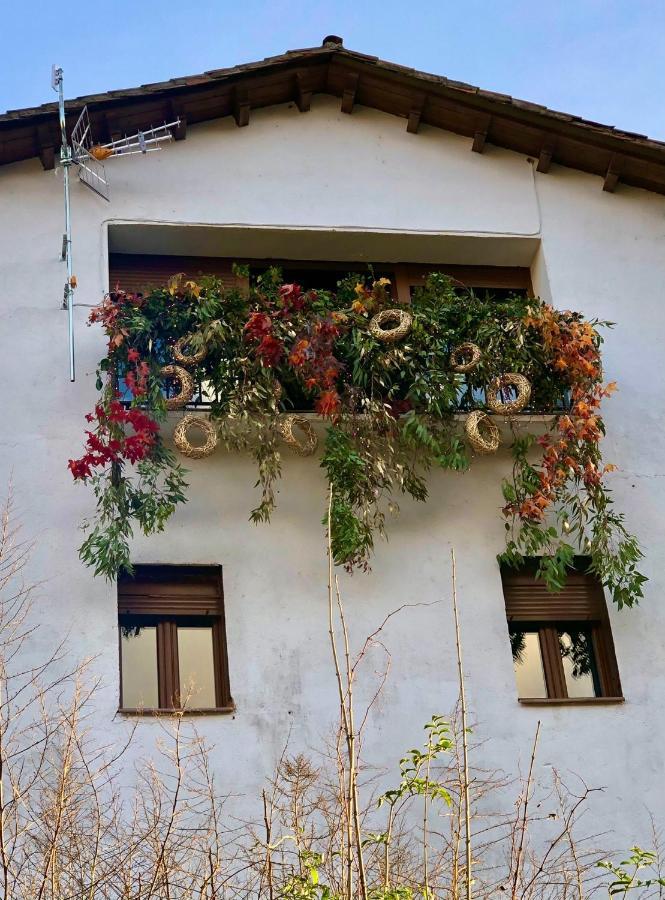 Apartamentos En El Valle Del Jerte Flores Para Angela Cabezuela Del Valle Exterior photo